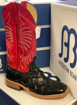 Men's Anderson Bean Western Boot #320016